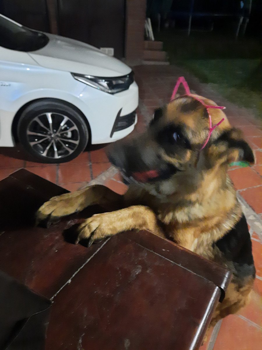 WalMaxburgos's tweet photo. A estas horas te gusta jugar! #Yanay https://t.co/4i7vrNUIXJ