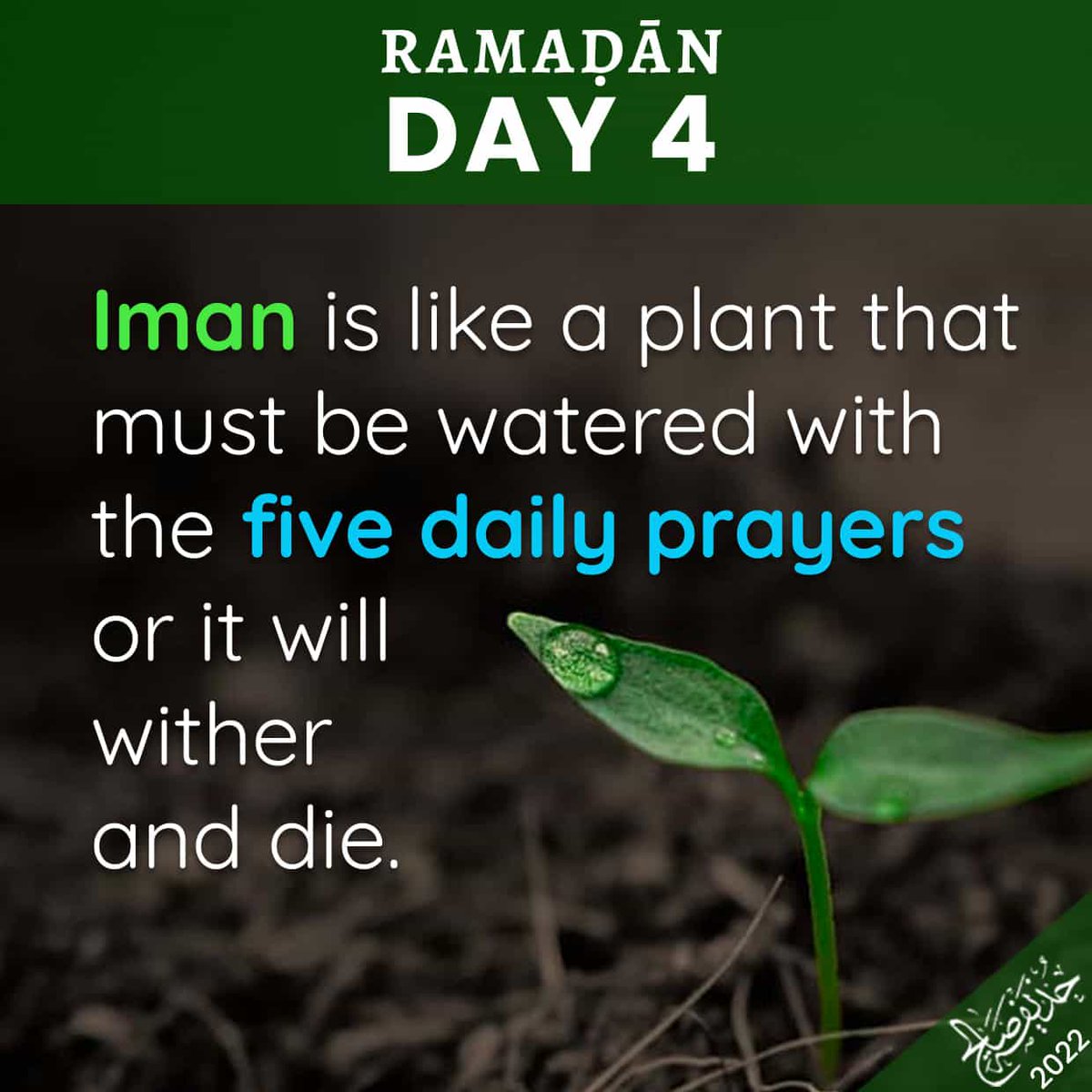 Ramadhan Day 4
Courtesy of Mawlana <a href="/HuzFuz/">Huzaifa</a>
