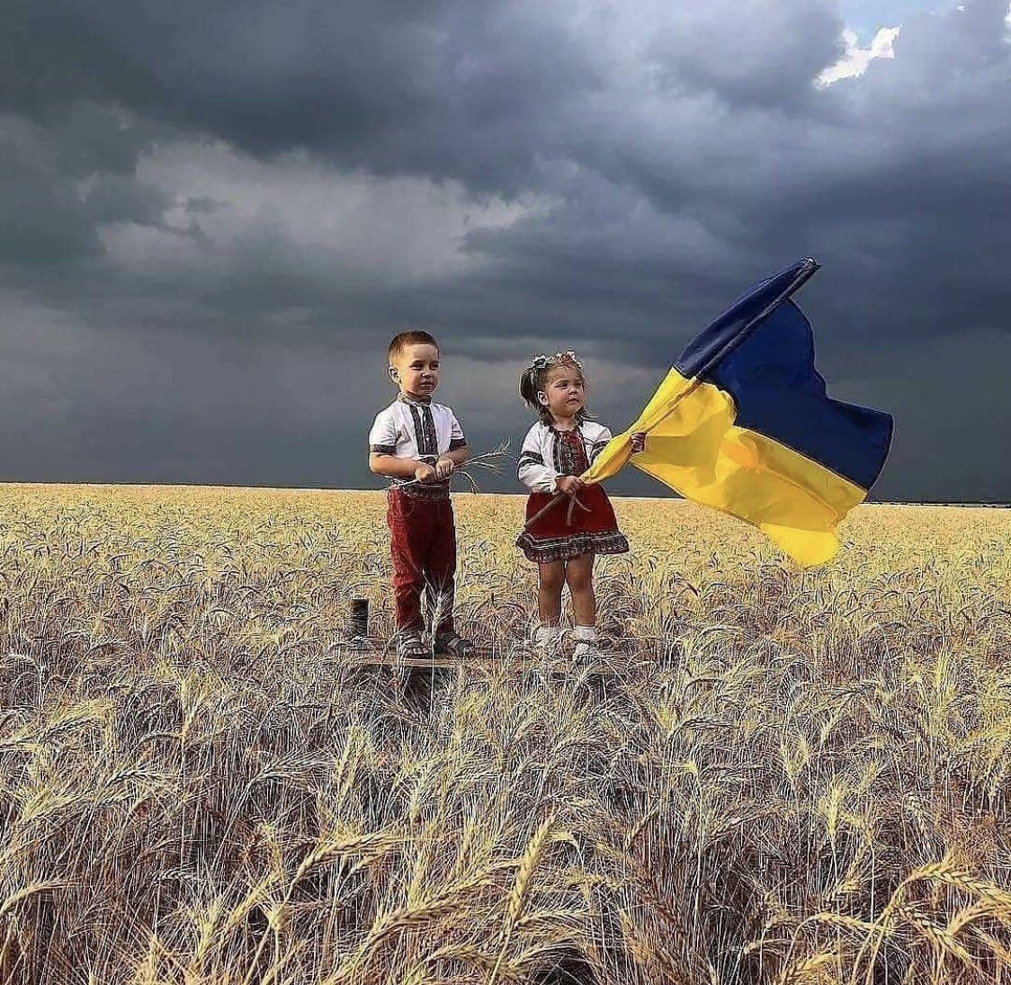 Nicolle53447890's tweet photo. Peace 💙💛 https://t.co/idnLuKylW9