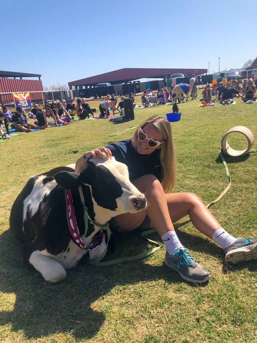 JessMlachnik's tweet photo. Meet my new friend Ollie 🐮 

@AZGoatYoga 

🥰 https://t.co/iHXaGipg8o