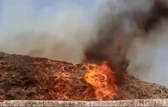 Ashish Garg tweet media