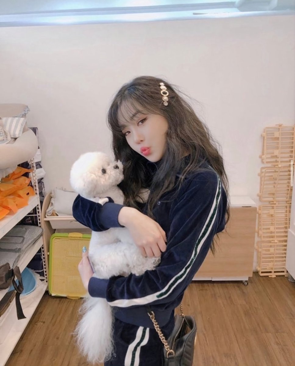 tnwlsdldhk_2n's tweet photo. 수진아 이제 진짜 봄이네 산책 많이 하고 있어? https://t.co/m5QTUxcDos