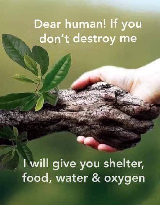 JamesAl35488247's tweet photo. https://t.co/6QgpwSbWHO