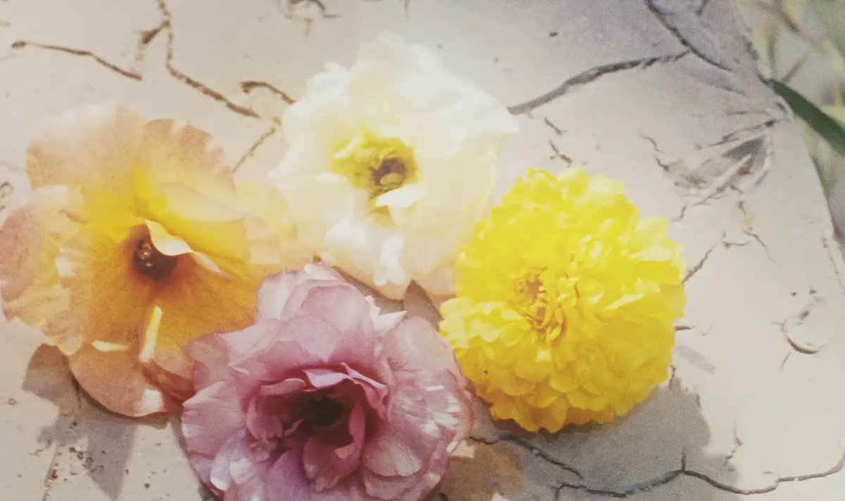 Kuro__desu's tweet photo. Aesthetically pleasing, beautifully heartbreaking #BIGBANGCOMEBACK #BIGBANG_StillLife https://t.co/paujlRdF2a