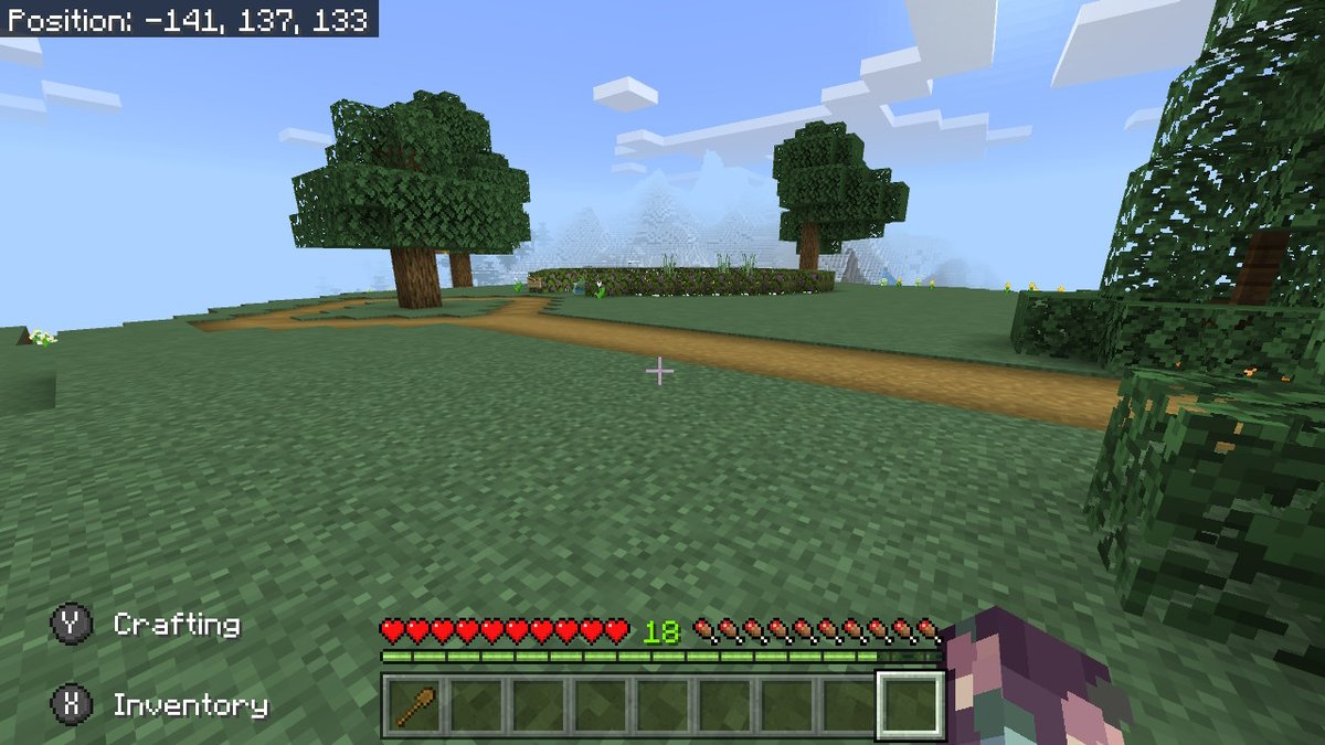 HelioOnHelium's tweet image. ANOTHER SSP! a fresh start! | #Flowers #MinecraftBuildIdeas #Minecraft #NintendoSwitch