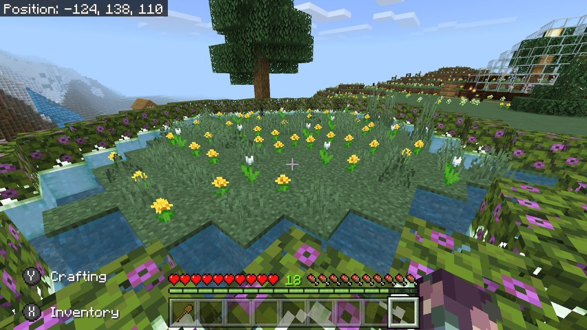 HelioOnHelium's tweet image. ANOTHER SSP! a fresh start! | #Flowers #MinecraftBuildIdeas #Minecraft #NintendoSwitch