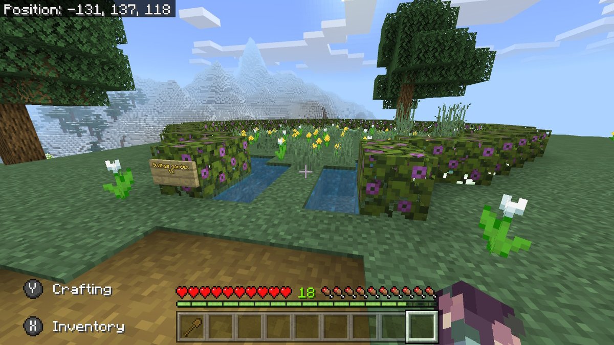 HelioOnHelium's tweet image. ANOTHER SSP! a fresh start! | #Flowers #MinecraftBuildIdeas #Minecraft #NintendoSwitch