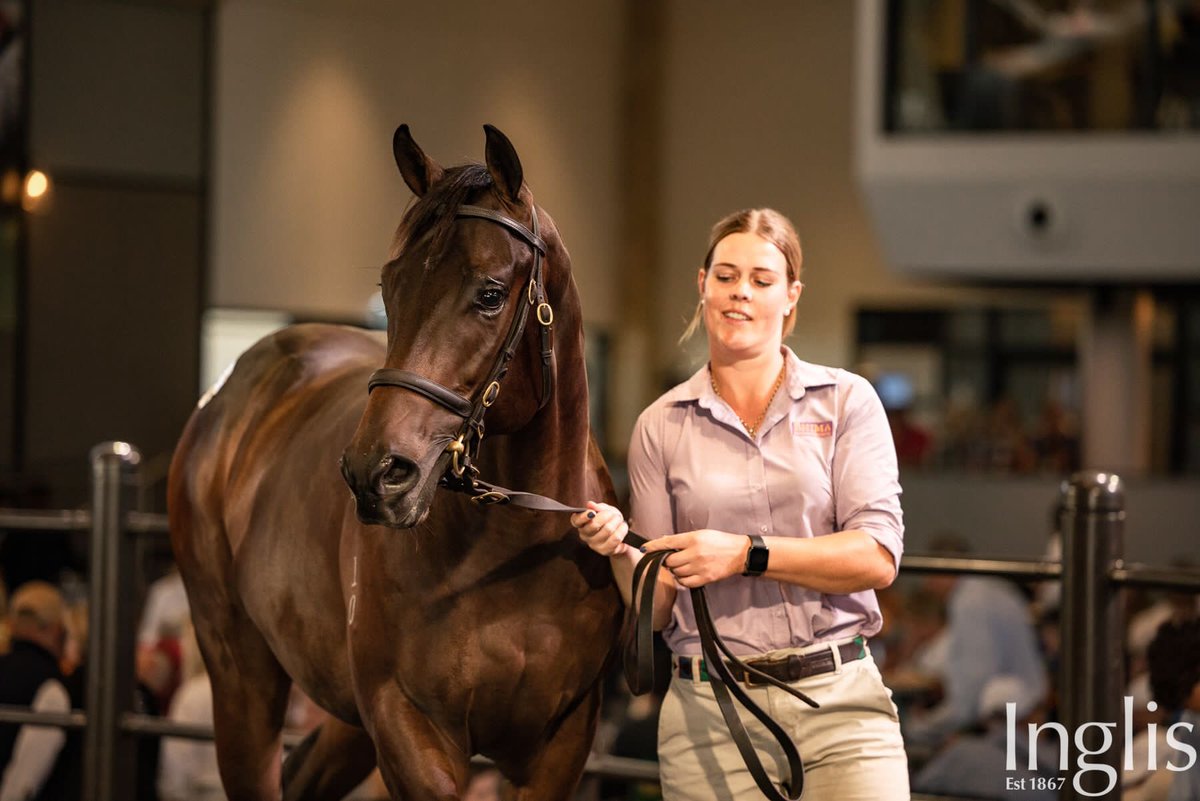 Bhima Thoroughbreds tweet media