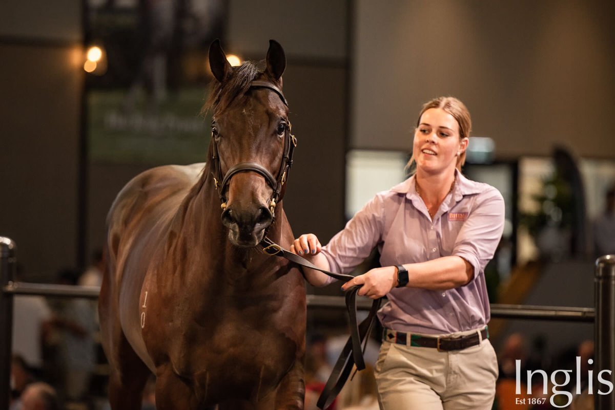 Bhima Thoroughbreds tweet media