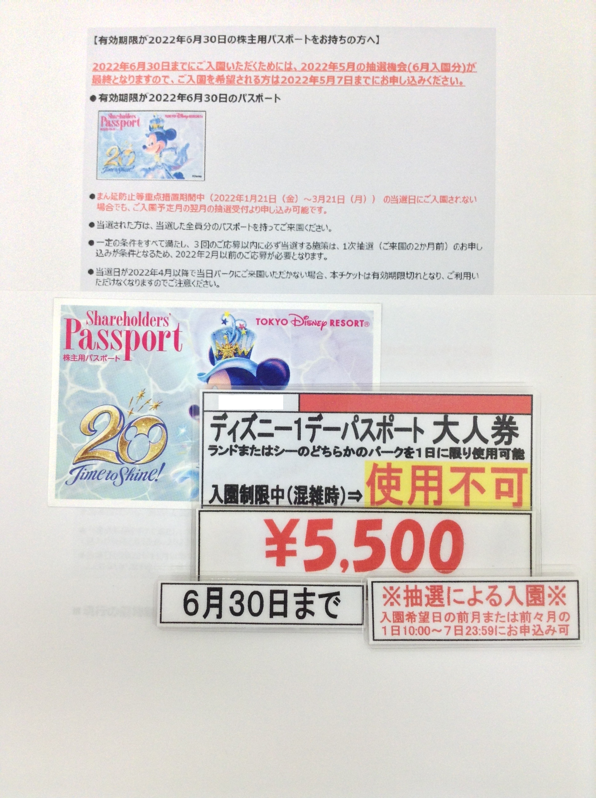 ２枚組 事前に入園日の予約必要 チケット 東京ディズニーリゾート 有効期限来年６月３０日まで Www Energroup Com Ar
