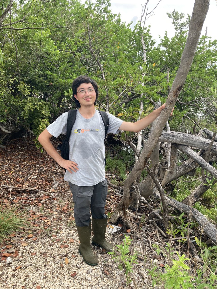 Hojun Song tweet media