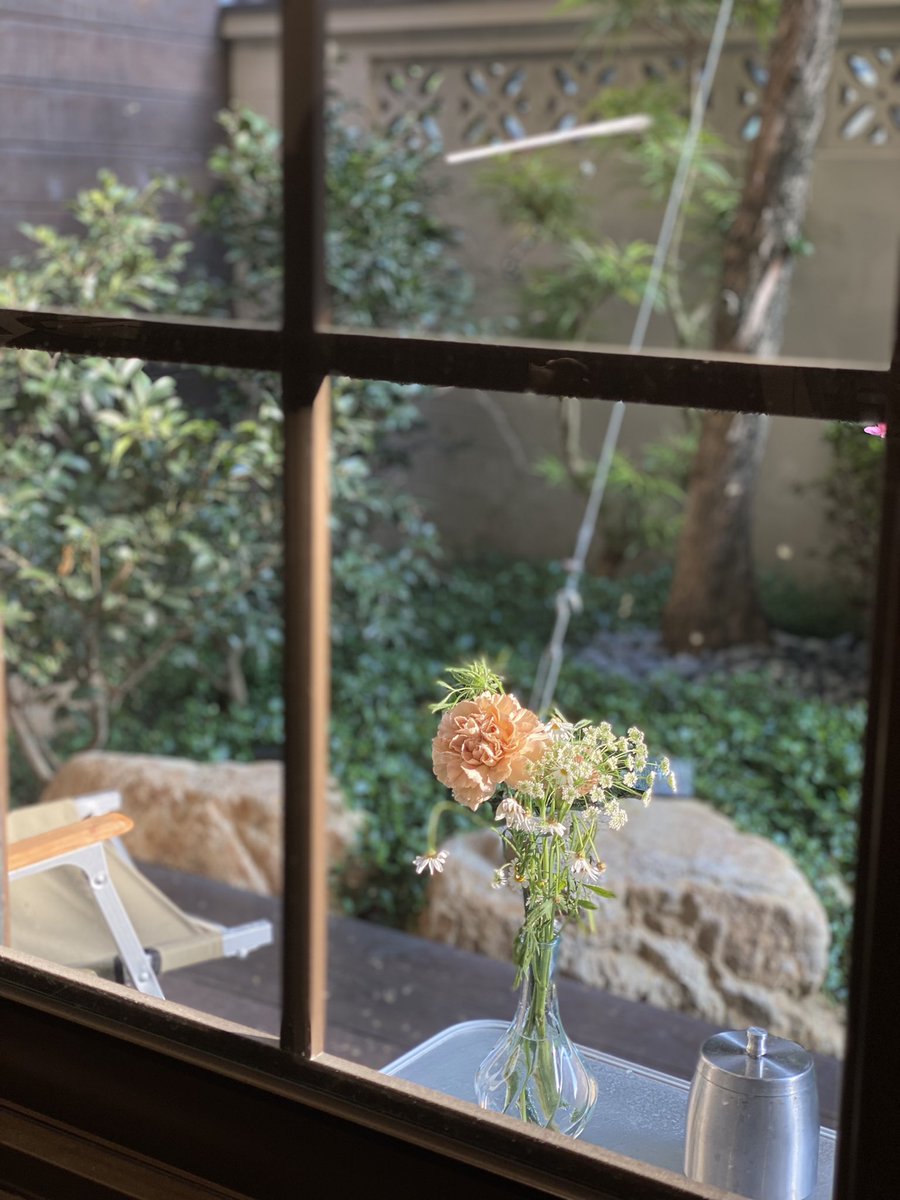 🌞🌹