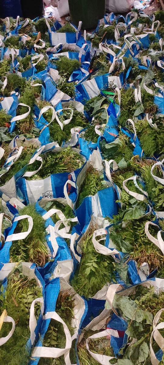 AfrozShah1's tweet photo. Last night - vegetable purchased for 700 families without single use plastic .

This morning - removing legacy waste from eco sensitive mangroves .

Our bit https://t.co/FU0a3u7unP