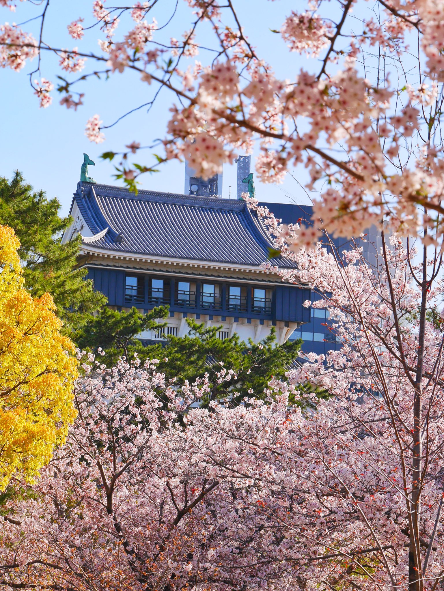 小倉城 城下町小倉 Kokura Castle 公式 Kokura Castle Twitter