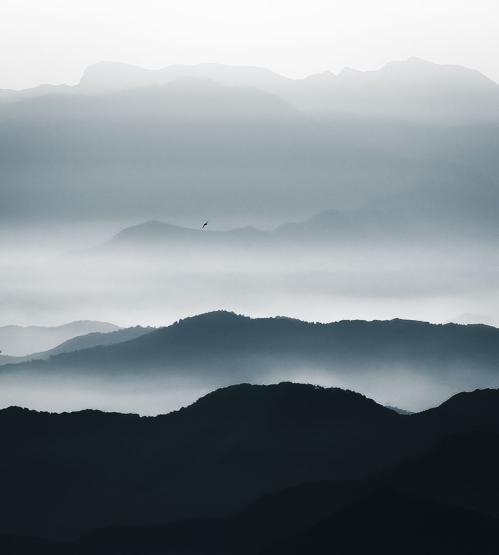 Denis Helbig tweet media