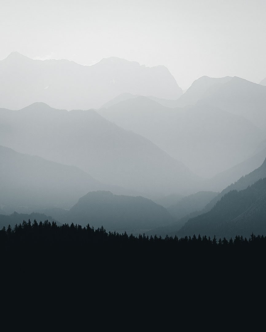 Denis Helbig tweet media