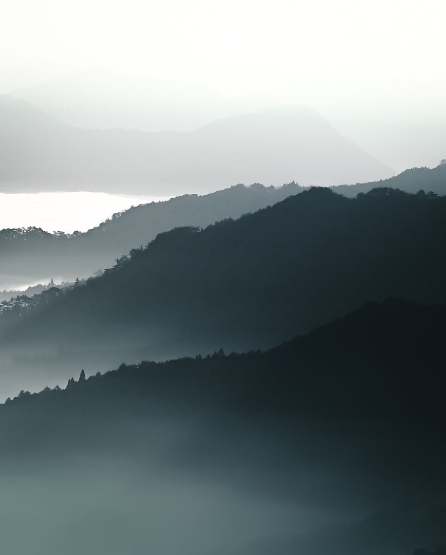 Denis Helbig tweet media