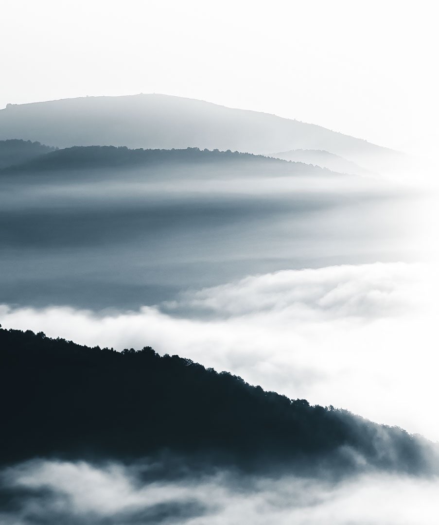 Denis Helbig tweet media