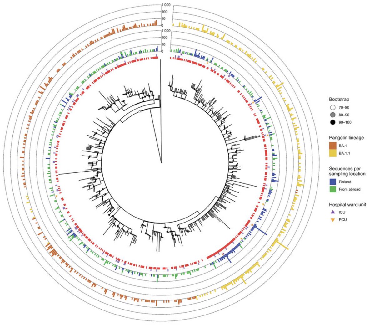 Our paper “Introduction and Rapid Spread of #SARSCoV2 #Omicron #Variant and Dynamics of #BA1 and BA.1.1 Sublineages, Finland, December 2021” is now published in EID. <a href="/SmuraTeemu/">Teemu Smura</a> <a href="/hanna42195/">Hanna Vauhkonen</a> <a href="/Olli_Vapalahti/">Olli_Vapalahti</a> <a href="/SironenTarja/">Tarja Sironen</a> <a href="/majava20/">Satu Kurkela</a> @THLresearch <a href="/helsinkiuni/">University of Helsinki</a> wwwnc.cdc.gov/eid/article/28…