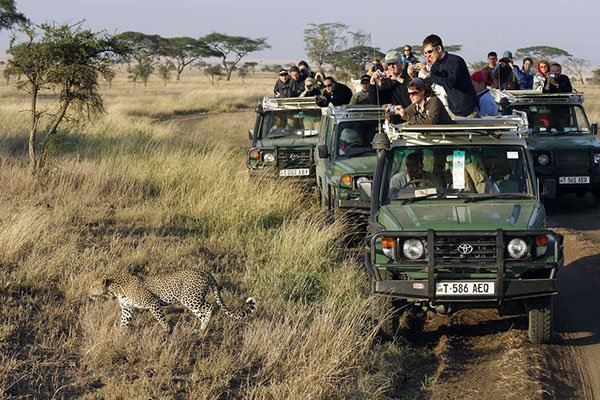 The TTB Tourism Board expects to receive 900 tourists from Israel. This is after the country's development and actions taken towards covid19, and efforts to welcome tourists through the Royal Tour Film will be available on April 9 and April 12.
#ExploreTanzania 
#MamaYukoKazini