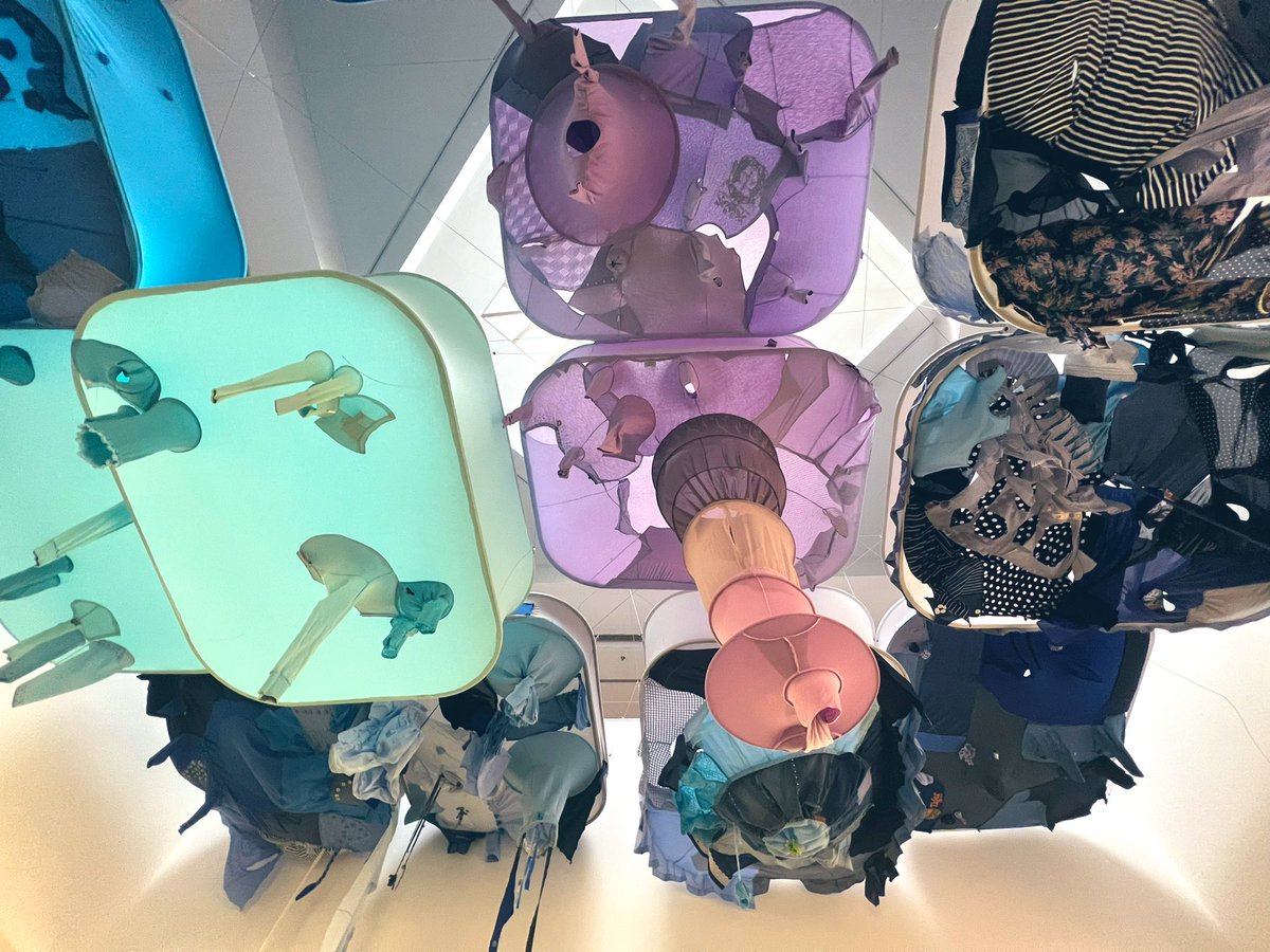 windy wu tweet media