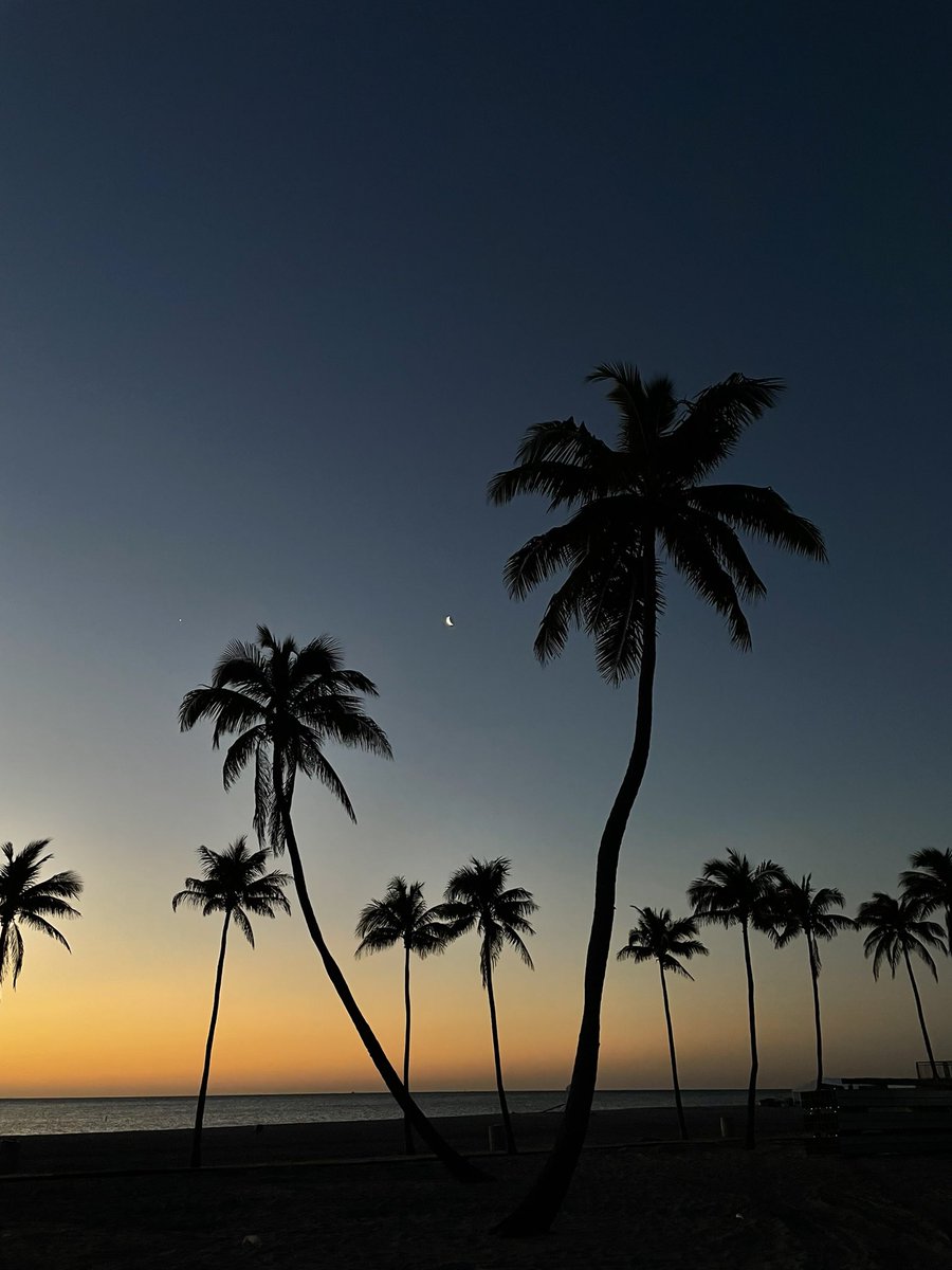 edusalback's tweet photo. 🌙 https://t.co/TpshkqZ5SM