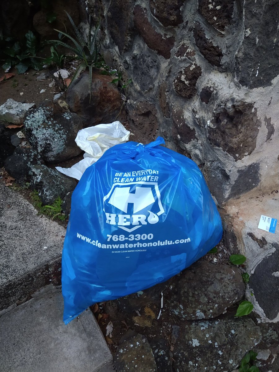 sk1tter's tweet photo. Late start to #cleanitupchallenge. Do i get extra credit for my super-sized bag? Thanks @cleanwaterHNL ! #ploggingoahu https://t.co/1s9np3AWbp