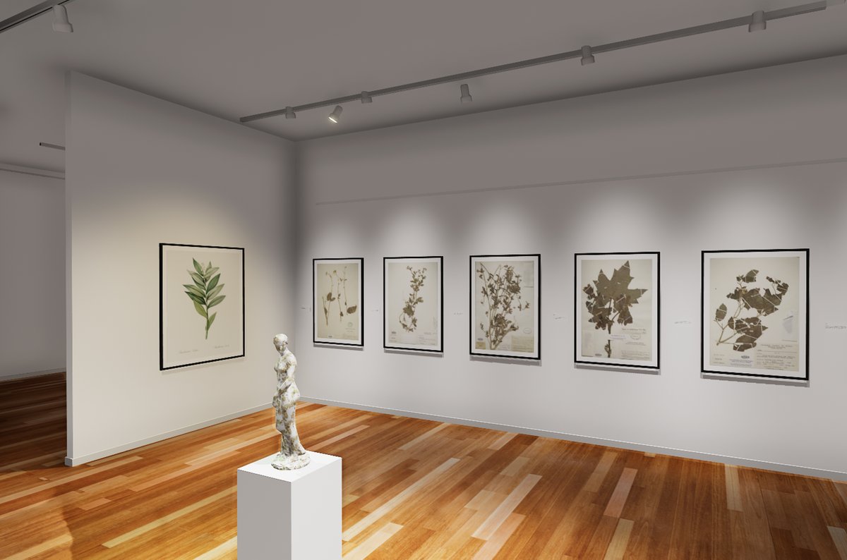 Planning your upcoming exhibition in Ortelia Curator minimises physical handling of the artworks during step up. Curator is ideal for travelling exhibitions; allowing you to see the exhibition digitally before you receive the physical artworks.

ortelia.com/products/exhib…
#curator