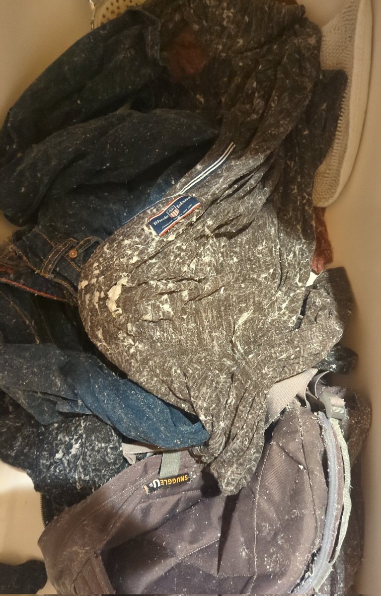 Kasperwelten's tweet photo. Man kennt das ja ...man wäscht mal ausversehen ein Taschentuch mit. Aber wer hat schon 74726847 Taschentücher mitgewaschen? Oder 500 Blatt Kopierpapier? 

ICH ICH ICH!!!

#waschen #waschmachine #taschentücher #Papier #Wäsche #Gewürzketchup #gewaltphantasien https://t.co/jwwqOERl95