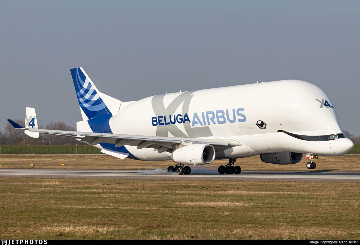 JetPhotos's tweet photo. An Airbus BelugaXl touching down in Hamburg. https://t.co/BkfckQxdkR © Mario Trusch https://t.co/ZZUPx7EXzY