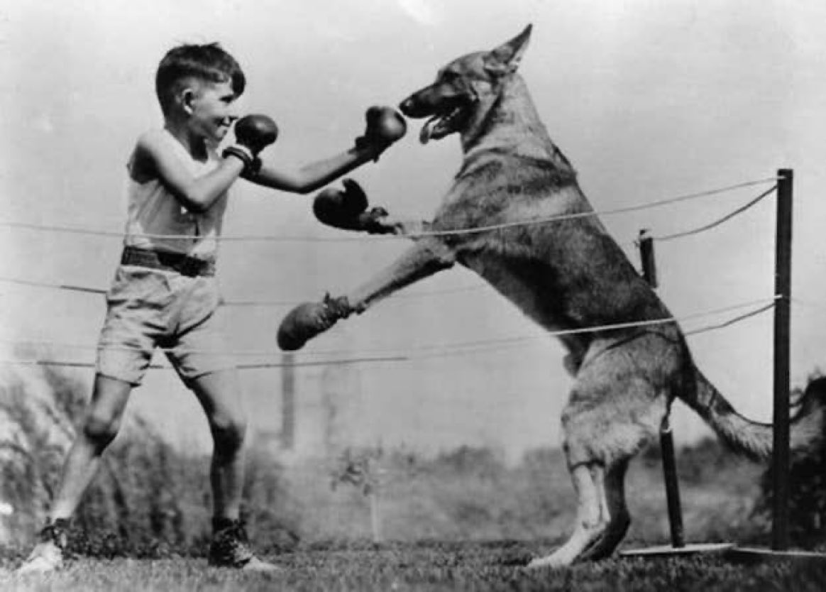 Super70sSports's tweet photo. This kid went 10 rounds with a German Shepherd, got fucked over on a bullshit decision by the judges, then grew up and stormed Omaha Beach so you and I could enjoy our freedoms. And he never won a participation trophy. https://t.co/vHjBBdpX9j
