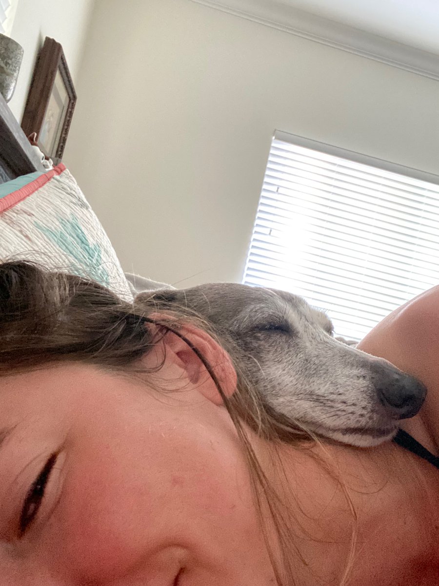 literally who needs humans when dogs exist