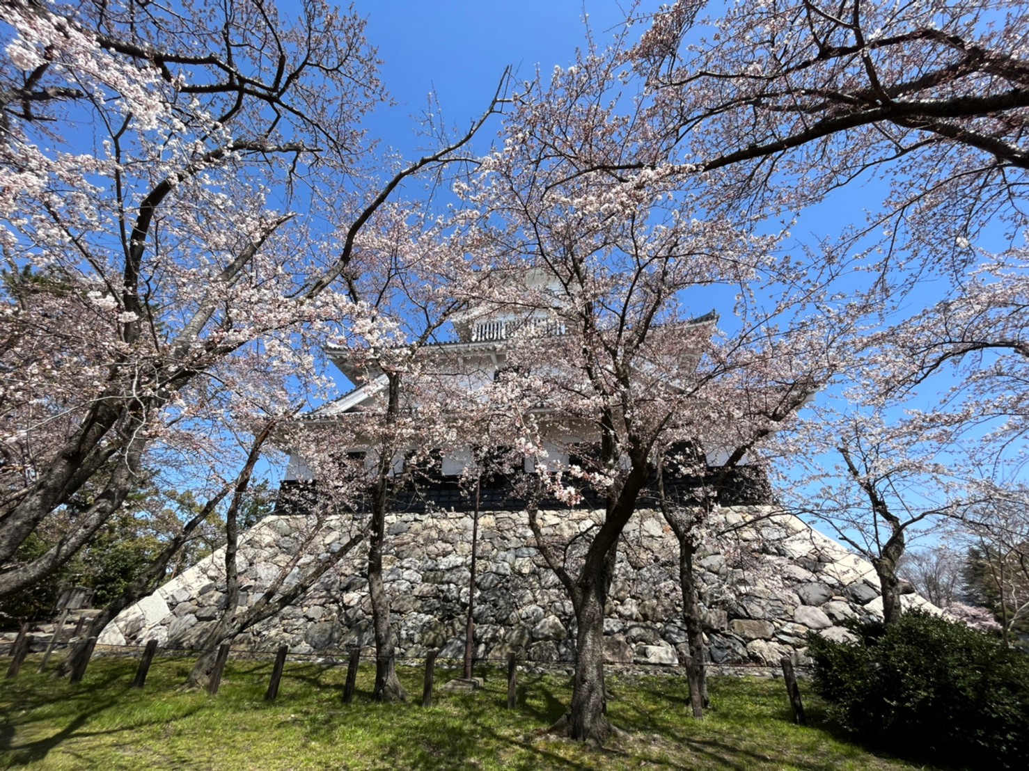 豊公園 Twitter Search Twitter