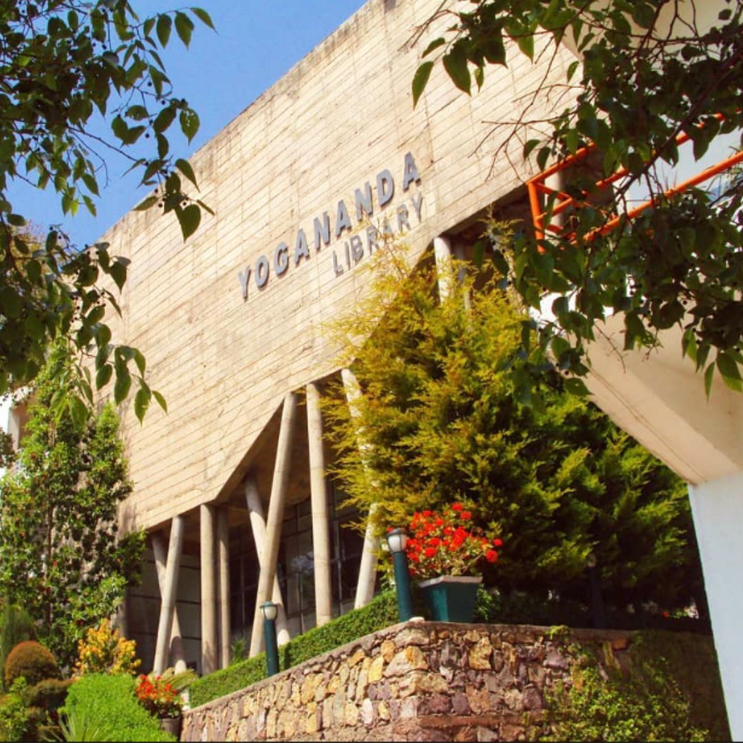 ShooliniUniv's tweet photo. #ShooliniCampus #YoganandaLibrary
Learning is a continuous process!
The ambience, reverberating with wisdom and knowledge, the freedom to bury our heads in over one million volumes 24X7 is unmatched
#ShooliniUniversity #ThinkLearning #ThinkSuccess
#Admissions2022 https://t.co/kDhbgFMyXl