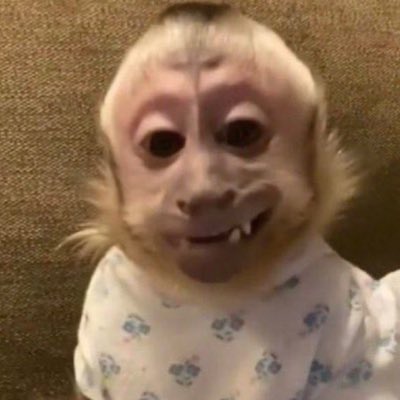 honkymonki's tweet photo. #NewProfilePic https://t.co/MomhTJ5DlW