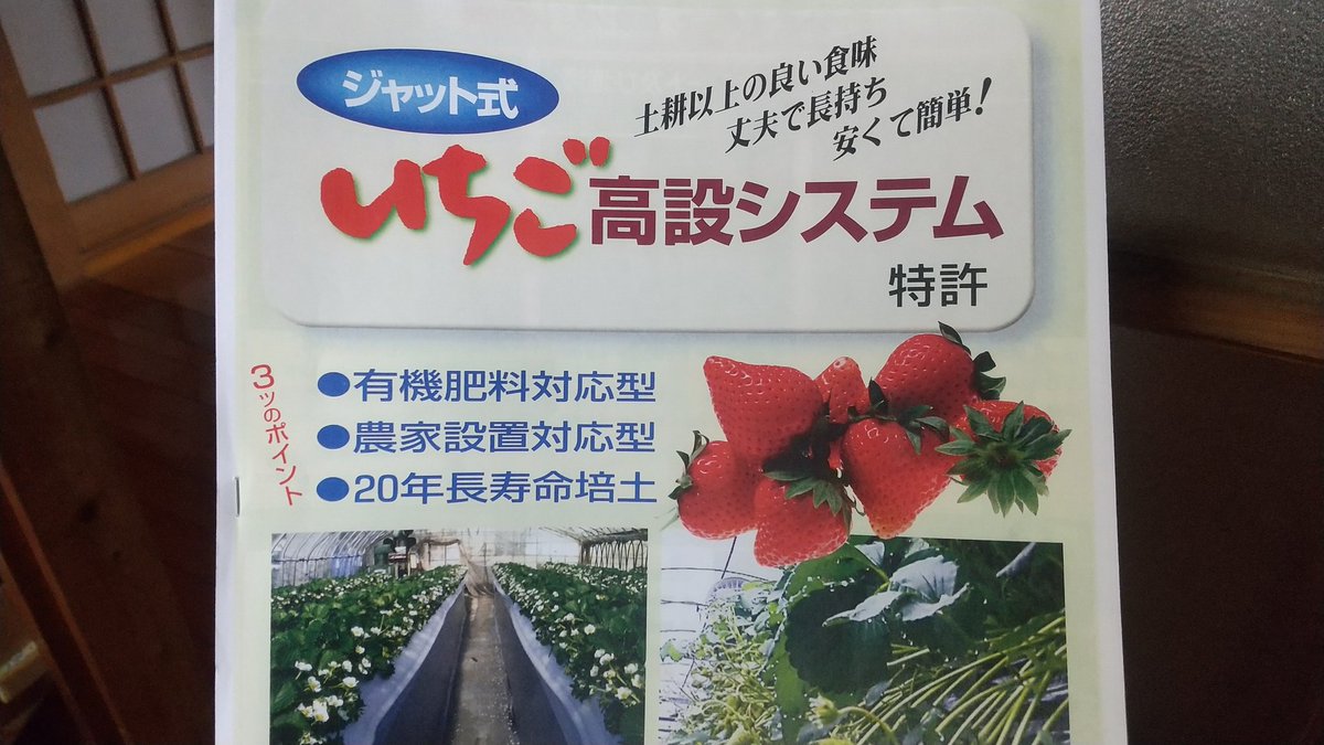 ストロベリーロマン農園 Hagano15 Twitter