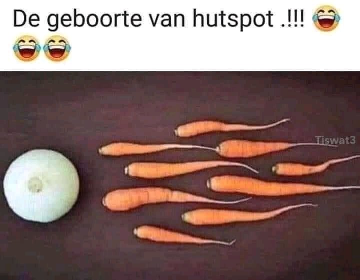 Goedemorgen