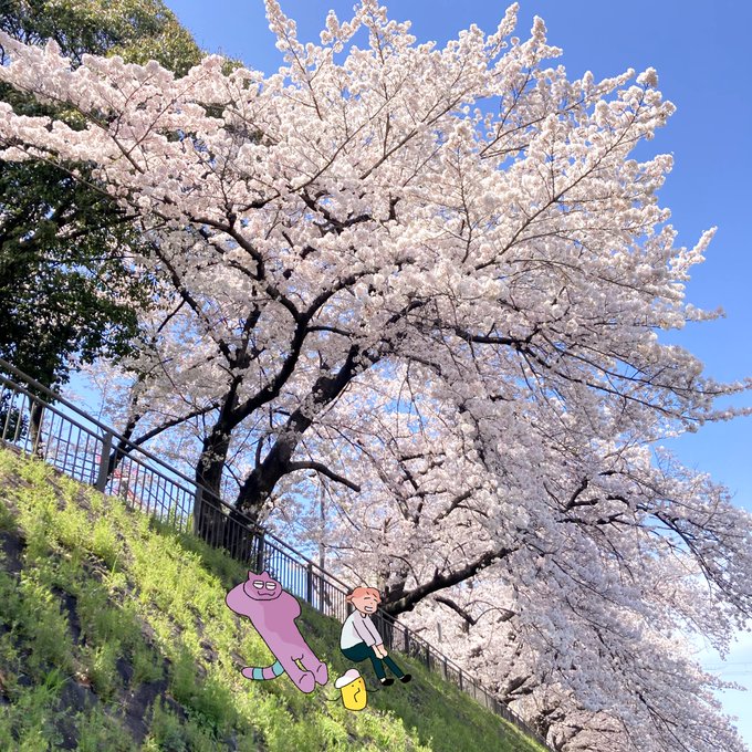 お花見🌸 