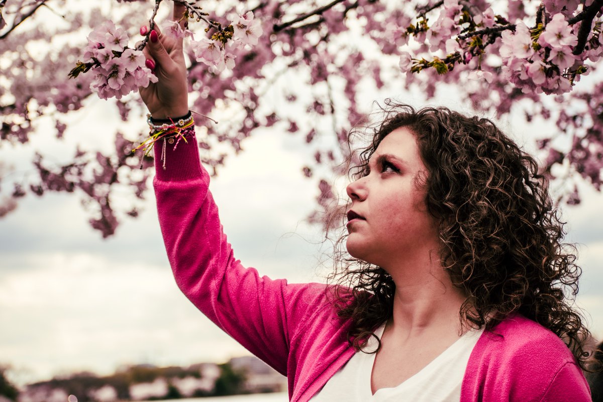 pookettie's tweet photo. Finally got to see the cherry blossoms in full bloom at the @CherryBlossFest in DC with @TheBracco - it was magical! https://t.co/cbAdO95IhS