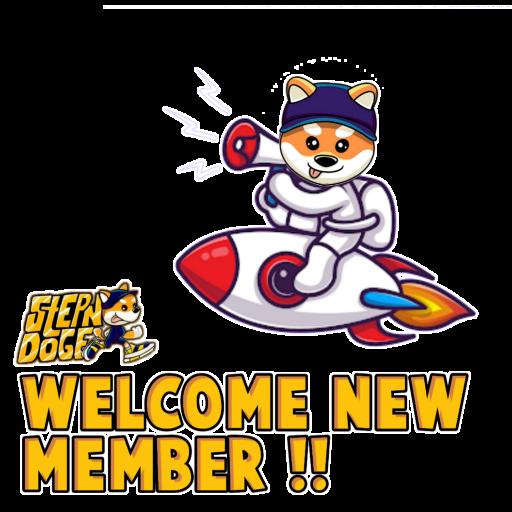 Dream Collection tweet media