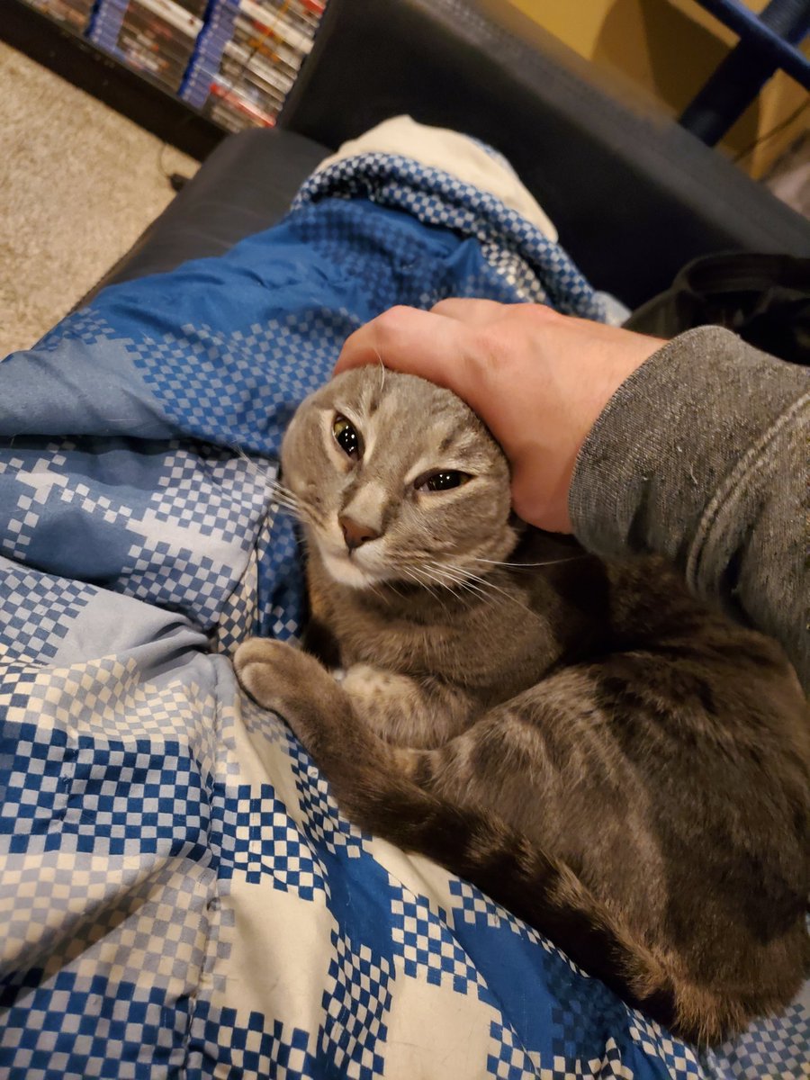 Ridercole tweet media