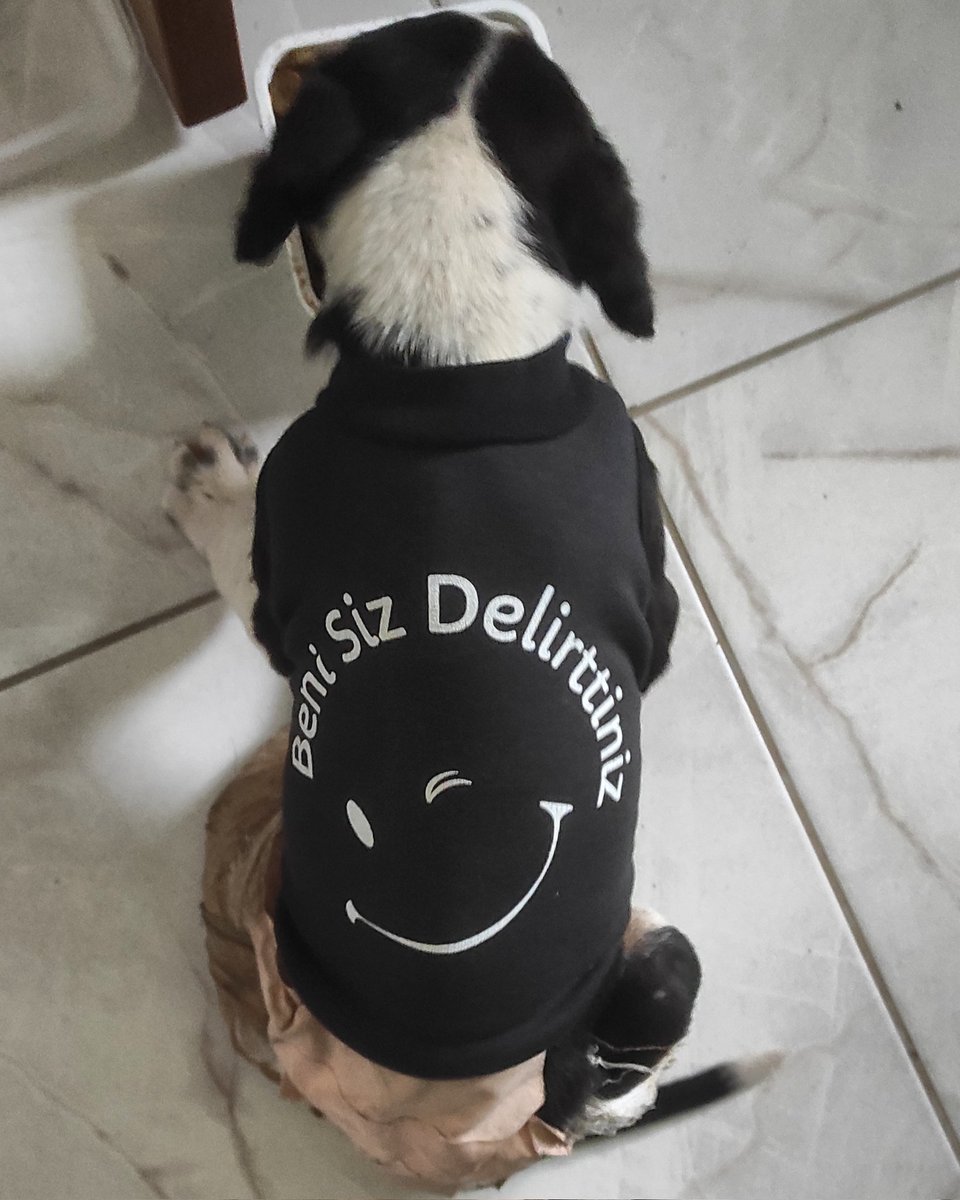 Günaydın insanlık 🐾