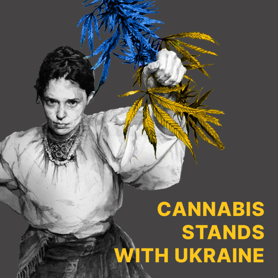 Ukrainian #CannabisCommunity ... - cannabistical.com/ukrainian-cann… #Activism #AskGrowers #CannabisStandsWithUkraine #Culture #FreedomMarch #Kyiv #LanaBraslavskaia #Marijuana #MarijuanaNews #NazariiSovsun #News #NewsAboutMarijuana #Prohibition #Ukraine #VolodymyrZelensky #World Can ...