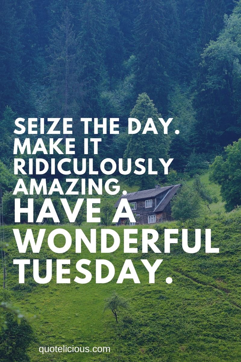 KerryEldridge1's tweet photo. Wishing y’all an amazing Tuesday #KindnessMatters #KindPositiveSocialCare #KindPositiveNHS #OneTeam #StrongerTogether #CaringtoCare https://t.co/QItJGSauZz
