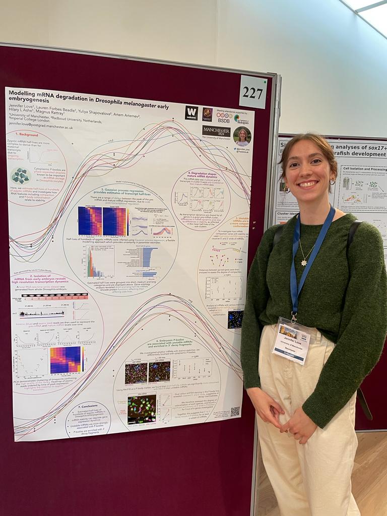 Interested in the extracellular regulation of BMP signalling? 🪰 Or are gene expression dynamics more your cup of tea? 🔬 Come and meet our fab postdocs and PhD students at the poster session at #BSCBDB22 👩‍🔬👨‍🔬