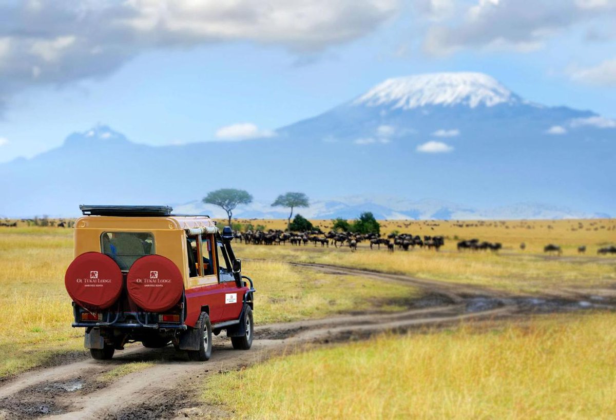 EacReservations's tweet photo. The mountains, the beaches, great national parks, and much more, make Kenya a must-visit country in Africa. DM or click the link in our bio and book your stay in Kenya. 
📸@EleraiCamp
#magickenya #tanzania #travel #vacationmode #Rwanda #Uganda #Zambia #tembeakenya https://t.co/GpvP72rtlg