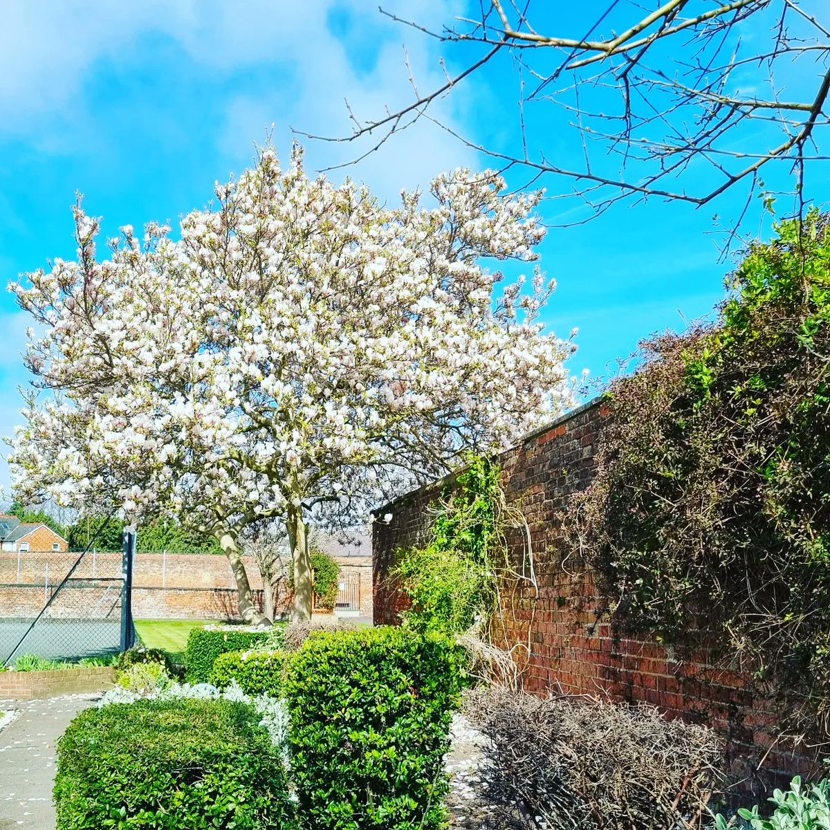 OswestryIn's tweet photo. #caeglaspark #Oswestry #spring https://t.co/CuCw93zTM8