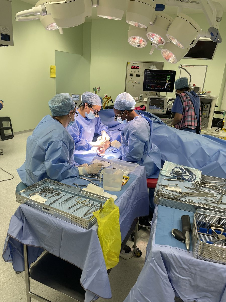 BaronLeSanj's tweet photo. Elective Hand Surgery training is also important. 
Trapeziumectomy performed, expertly, by my Reg, with overseas Fellow (Reg); a bit of guidance in the beginning, &amp; then, off they go; me being banished, AGAIN, to coffee room!😳 
Well done surgeon @McmelonHelen 👏🏽👍🏽 https://t.co/Col1S6mAPY
