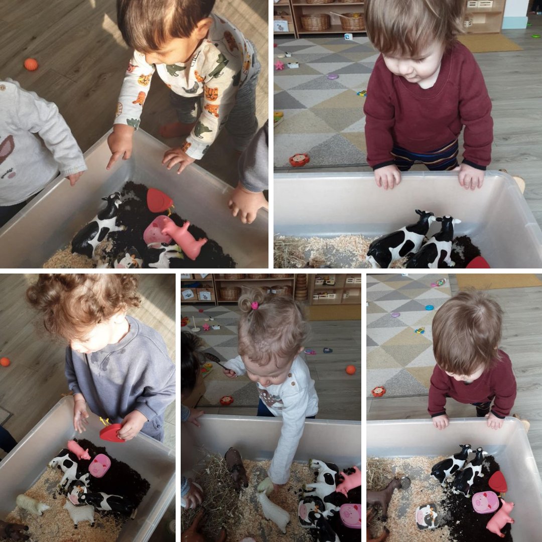 happyjourneys3's tweet image. ✨Nursery update!✨

#Babies enjoyed developing on their #understandingoftheworld last week by getting familiar with the farm animals, learning their sounds and their environment through feeling the textures of the soil and hay and singing of songs! 
 
#motorskillsdevelopment