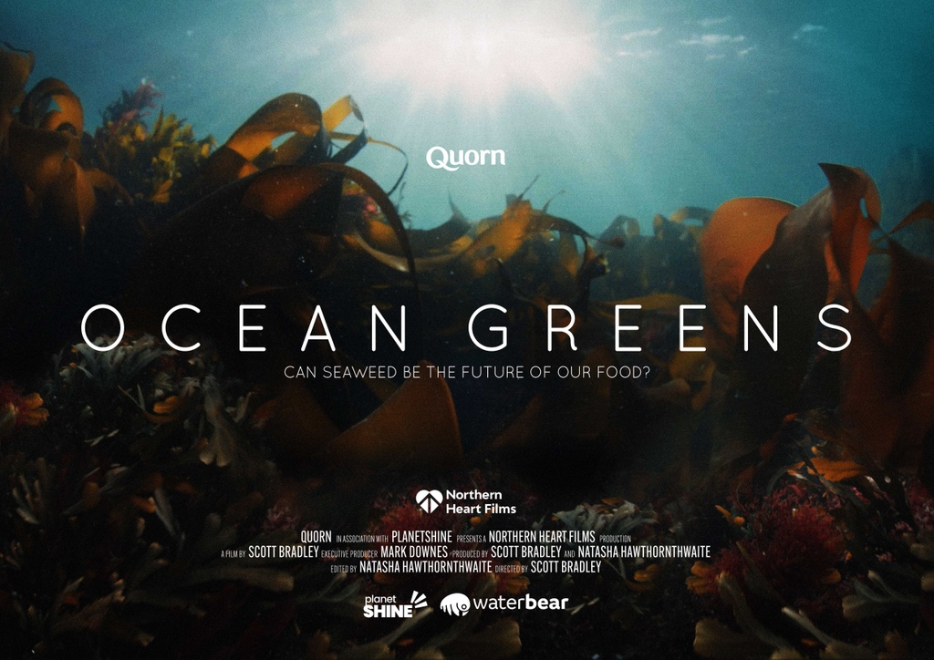 We are thrilled to announce that we are featuring in a short film with Quorn, WaterBear, and PlanetShine about the future of #seaweed. 🌿⁠
⁠
Simply head to Waterbear's website for a glimpse into foraging Ocean Greens and its role in the #environment! 🌏

join.waterbear.com